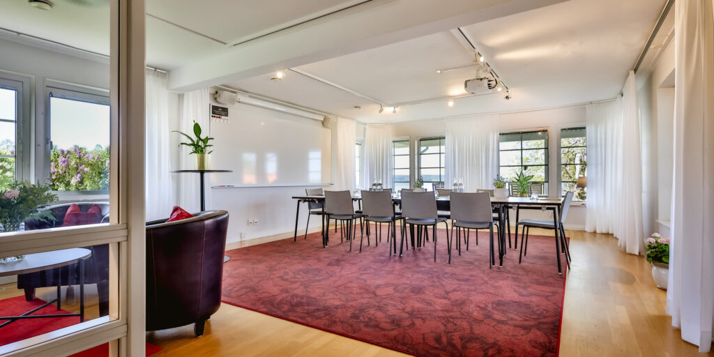 Konferens i egen villa